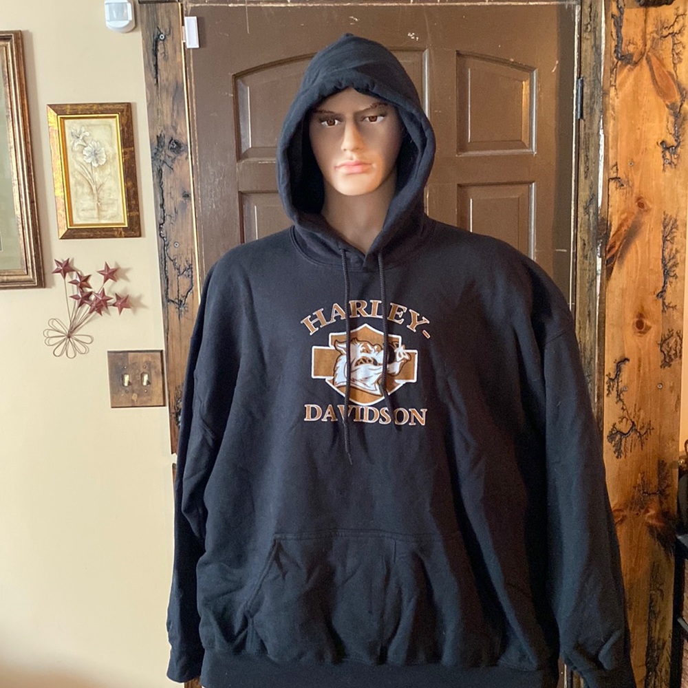 Pullover hoodie